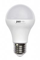 Лампа светодиодная низковольтная PLED-A60 MO 20Вт 6500К холод. бел. E27 12-48В AC/DC Pro JazzWay 5050655